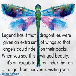 Meet your Posher, Helen